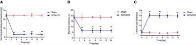 Exploring gene signatures and regulatory networks in a rat model of sciatica: implications and validation in neuropathic pain